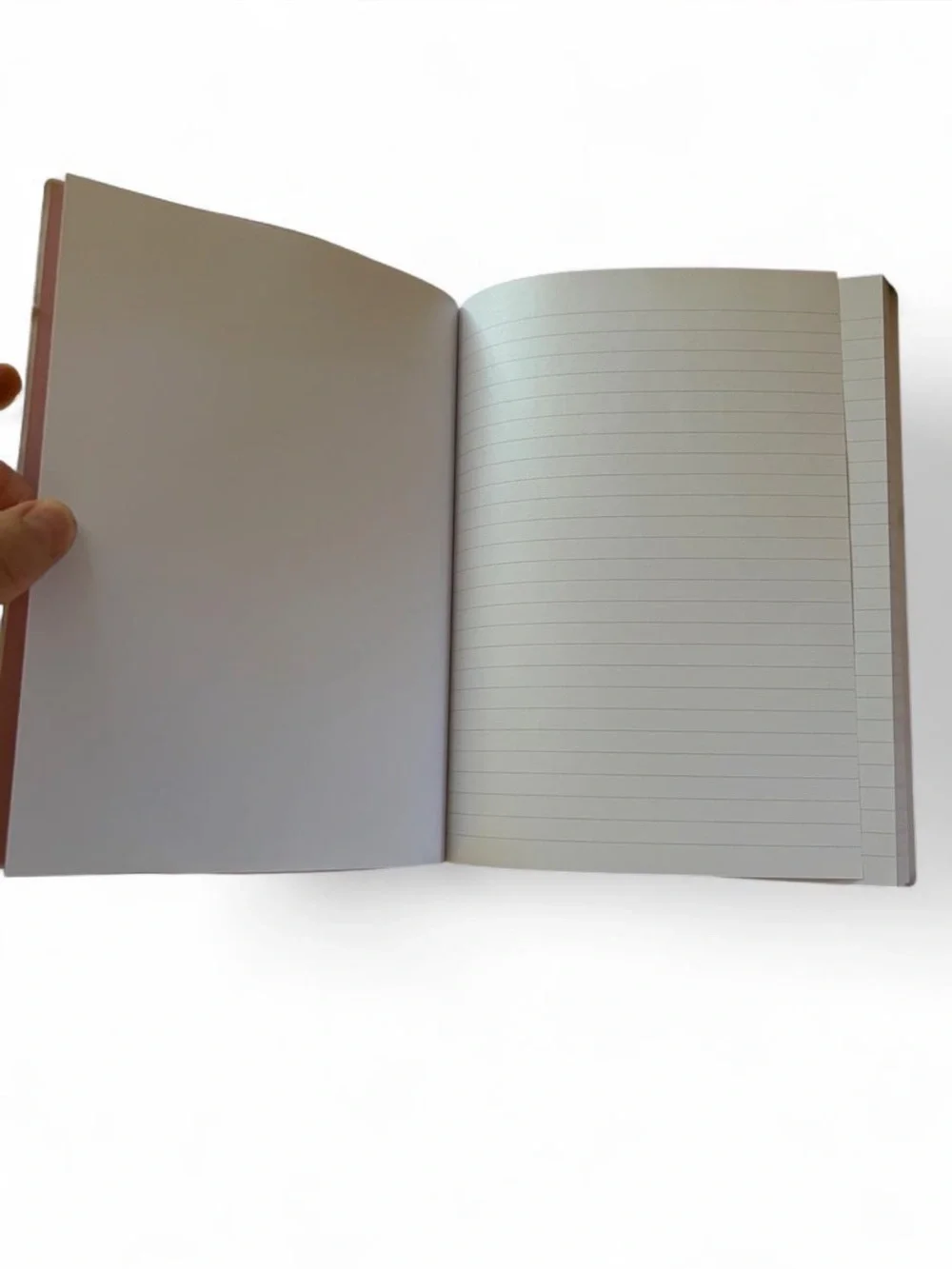 Leave Your Fears Behind Forest Journal